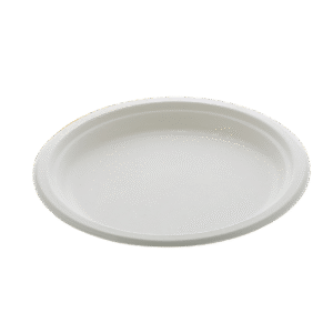 10" Plain Round Plate