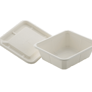 Food Container